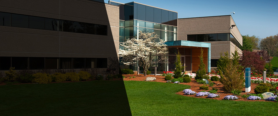 Queen City Landscapers